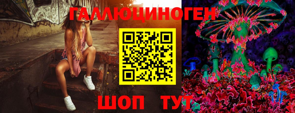 Керчь  Псилоцибиновые грибы GOLDEN TEACHER  Вход с VPN 